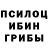 Псилоцибиновые грибы Magic Shrooms Brian Gauvreau