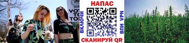 MEGA ссылки  нарко площадка как зайти  Каннабис White Widow  Кашин 